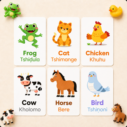 4 Pack Flash Cards Bundle - Tshivenda