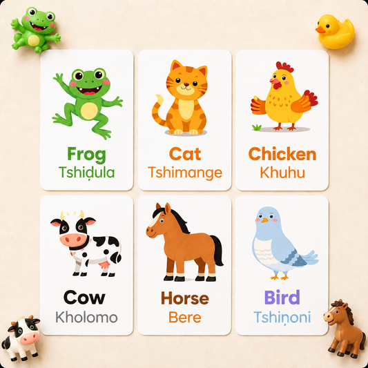Animals Flash Cards - Tshivenda