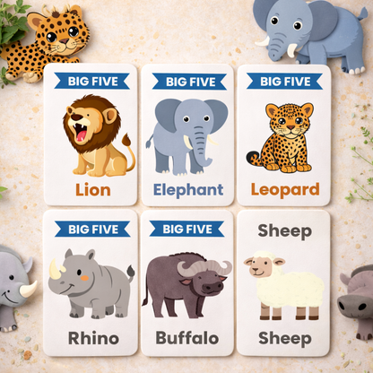 8 Pack Flash Cards Bundle - English