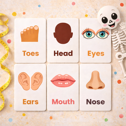 8 Pack Flash Cards Bundle - English