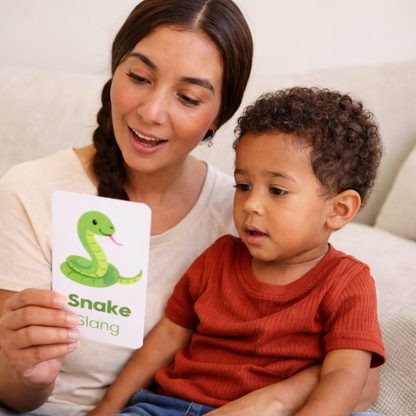 Animals Flash Cards - Afrikaans