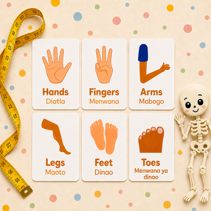 Body Parts Flash Cards - Setswana
