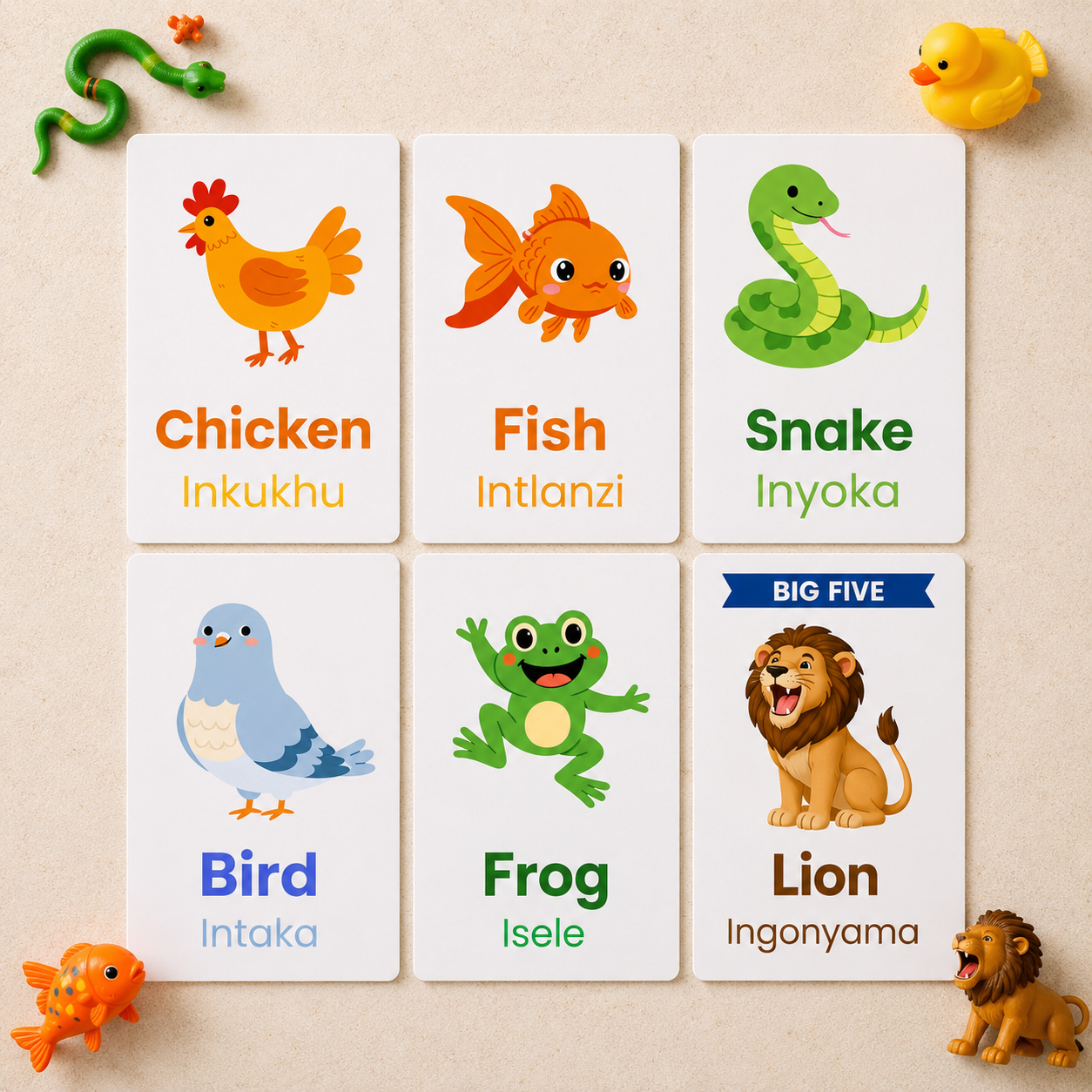 4 Pack Flash Cards Bundle - isiXhosa