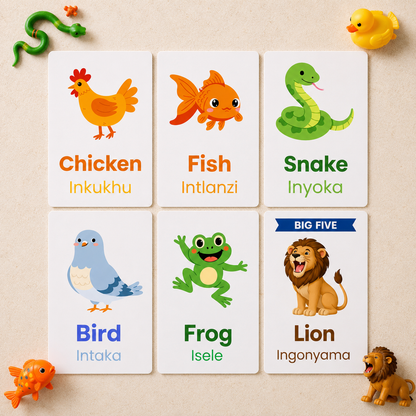 4 Pack Flash Cards Bundle - isiXhosa