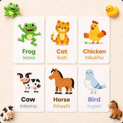 8 Pack Flash Cards Bundle - isiZulu