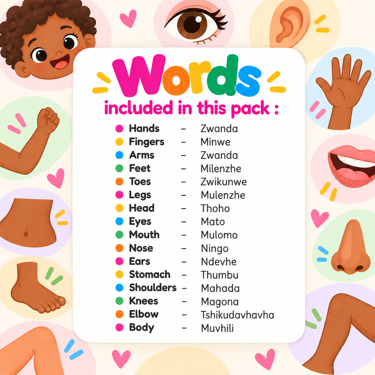 Body Parts Flash Cards - Tshivenda